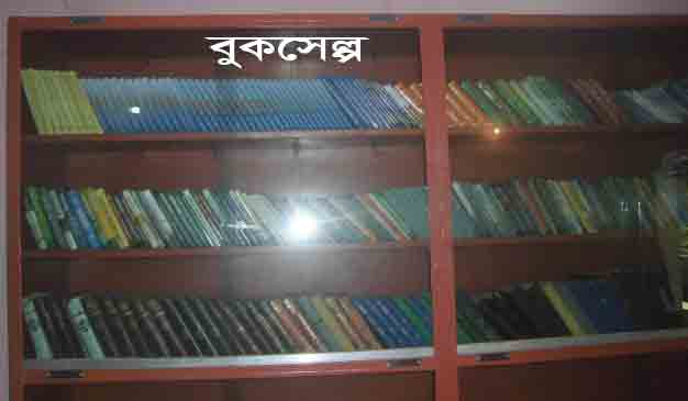 CIMG3825.jpg